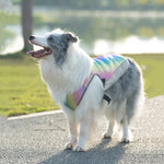 Summer Dog Rapid Cooling Vest Heat Resistant