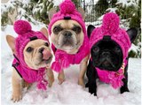 Windproof Dog Winter Warm Knitted Hat