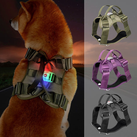 LED Dog Harness vest