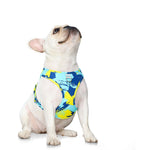 Pet Harness Adjustable Vest Walking Lead Leash