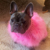 Elegant Soft Feather Pet Clothes