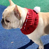 Winter Dog Christmas Hats