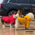 Waterproof Dog Raincoat for Small Dogs