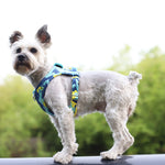 Pet Harness Adjustable Vest Walking Lead Leash