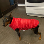 Warm Dog Clothes  Pet Down Jacket Puppy Coats