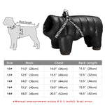 Waterproof  Warm Dog Jacket