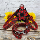 Dog Harness Leash Set