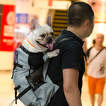 Adjustable Dog Travel Backpack