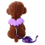 Angel Wings Dog Collars Harnesses