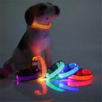 LED Dog Collar Night Safety