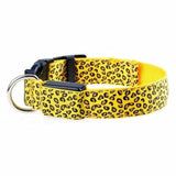 LED Dog Collar Night Safety