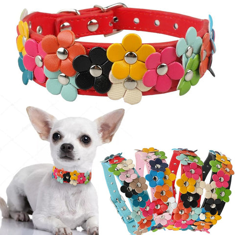 Dog Colorful Flower Decoration Collar