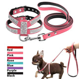 Small Dog Harness And Leash set