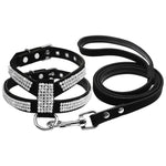 Small Dog Harness And Leash set