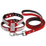 Small Dog Harness And Leash set