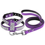 Small Dog Harness And Leash set