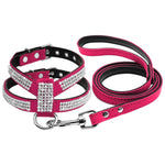 Small Dog Harness And Leash set