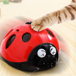 Catch Me If You Can Super Fun pet Toy