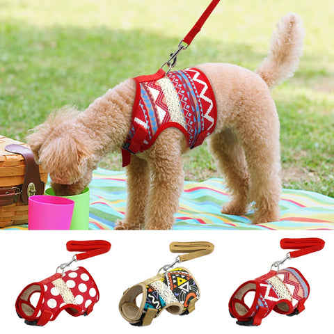 Soft Printed Dog Harness and Leash