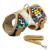 Soft Printed Dog Harness and Leash