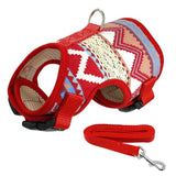 Soft Printed Dog Harness and Leash