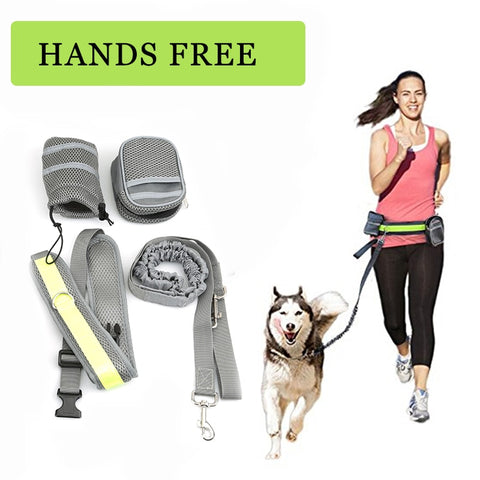 Hands Free Dog Leash Collar