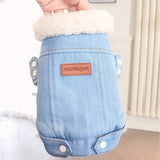 Luxury Winter Outfits Dog Denim Coat