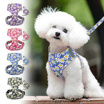 Printed flower Mesh Dog Harness Leash set