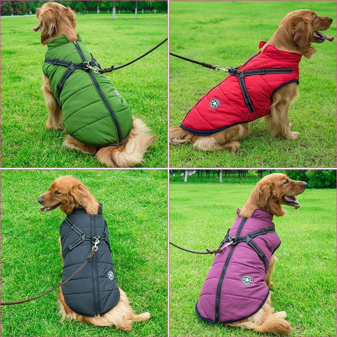Dog Winter Waterproof Jacket With Harness