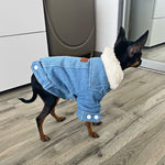 Luxury Winter Outfits Dog Denim Coat