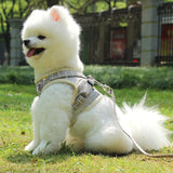 Dog Harness leash set Reflective