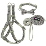 Soft Dog Harness and Leash Set Adjustable