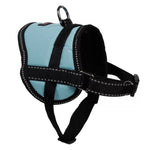 Adjustable breatheable Dog harness