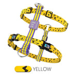 Chest Strap Harness Collar Adjustable