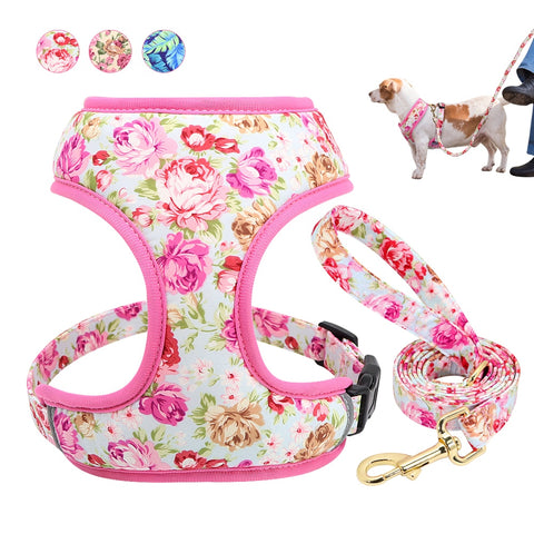 Printed flower Mesh Dog Harness Leash set