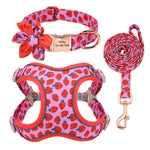 Personalized Harness Vest Leash Collar Set For Small Medium Large Dogs