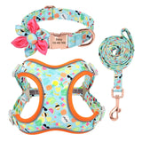 Personalized Harness Vest Leash Collar Set For Small Medium Large Dogs