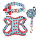 Personalized Harness Vest Leash Collar Set For Small Medium Large Dogs