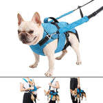 4 In 1 Dog Backpack Harness And Leash Set