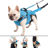 4 In 1 Dog Backpack Harness And Leash Set