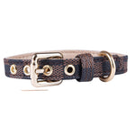 Classic Dog Collar Leash