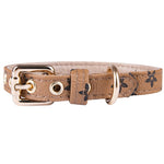 Classic Dog Collar Leash