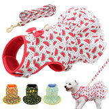 Dog Harness Leash Summer Set