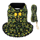 Dog Harness Leash Summer Set