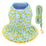 Dog Harness Leash Summer Set