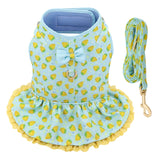 Dog Harness Leash Summer Set