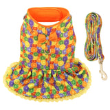 Dog Harness Leash Summer Set