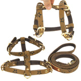 Fashion Dog Harness And Leash Set