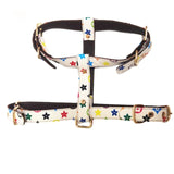 Fashion Dog Harness And Leash Set