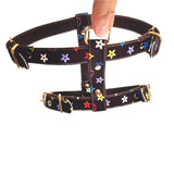 Fashion Dog Harness And Leash Set